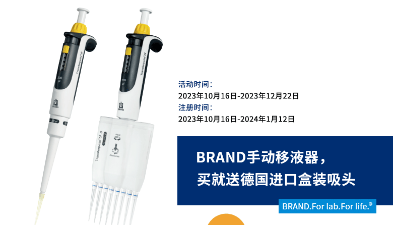 BRANDք(dng)ҺN(dng)_(ki)ʼ