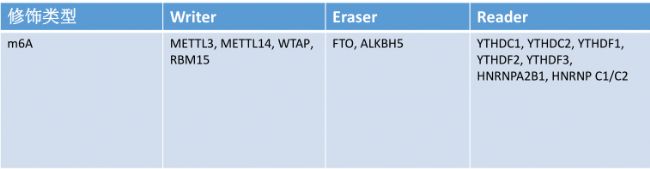m6AP(gun)øA(y)ϳɵ()/shRNA/siRNA(k)