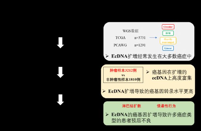 aiYMW(xu)͏V ĻȺw(sh)֮g(lin)ϵl(f)F(xin)(li)aiYecDNAM(jn)\ ĝ