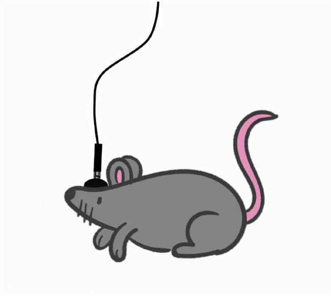xwӛ䛌(sh)(yn)ĺĲ_(d)Чʵ̖ݔ