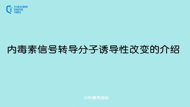(ni)̖(ho)D(zhun)(do)T(do)Ը׃ĽB