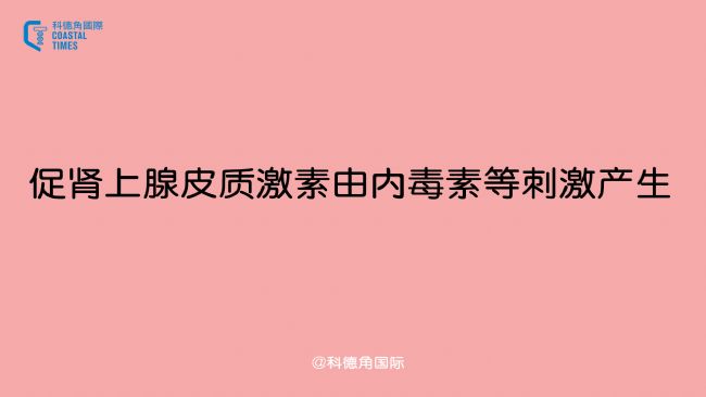 促腎上腺皮質(zhì)激素由內(nèi)毒素等刺激產(chǎn)生