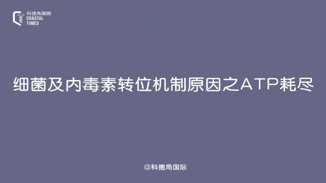 (x)(ni)D(zhun)λC(j)ԭ֮ATPıM