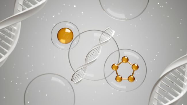 Lipid Acһ֬ڽY(ji)(gu)ʲôe