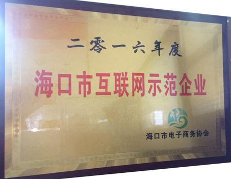 海南馬良師傅喜獲?谑谢ヂ(lián)網(wǎng)示范企業(yè)稱號(hào)